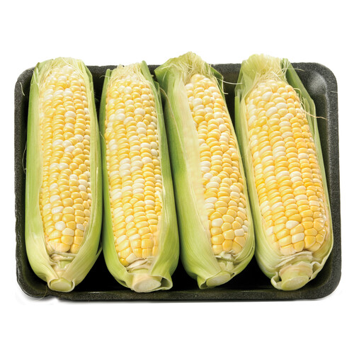 Corn Tray 4 Count