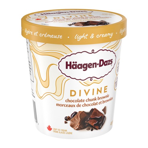 Haagen-Dazs Ice Cream Divine Chocolate Brownie 450 ml