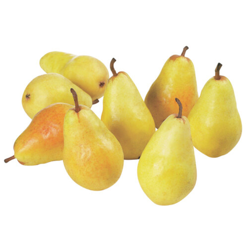 Bartlett Williams Pears Small 