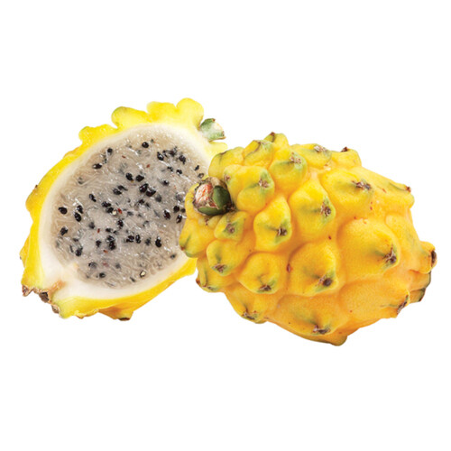 Pitahaya Yellow 1 Count 