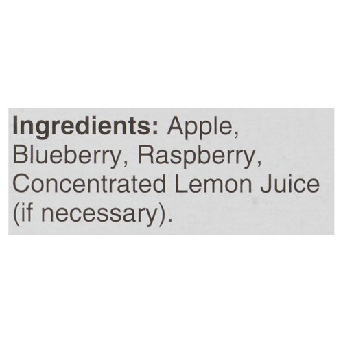 GoGo Squeez Fruit Sauce Apple Blueberry 360 g