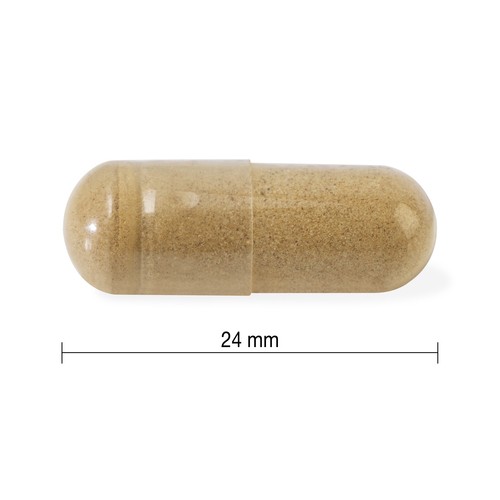 Jamieson Supplements Ashwagandha 6000 mg Capsules 60 Count