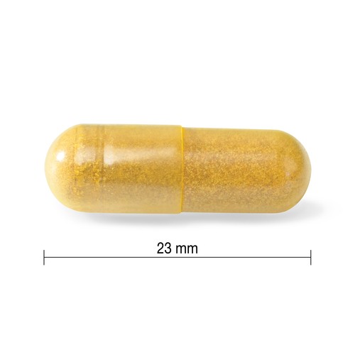 Jamieson Supplement Turmeric With Black Pepper Capsules 60 Count