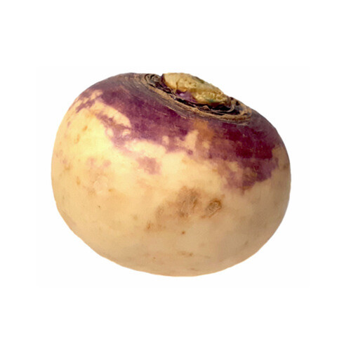 Purple Top Turnip