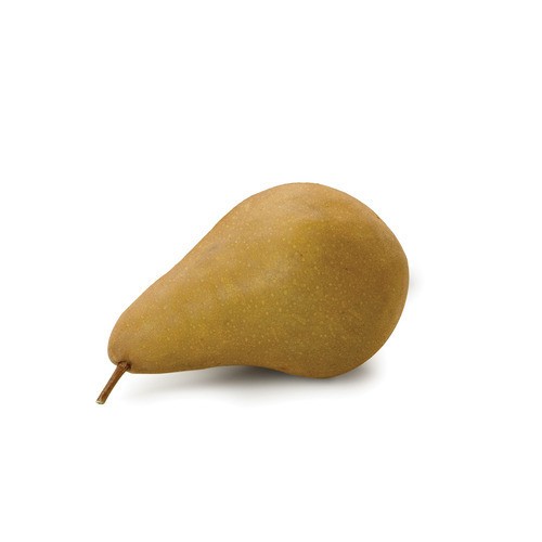 Organic Pear Bosc 1 Count