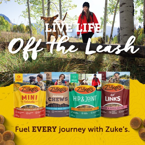 Zuke's Mini Naturals Dog Treats Tender Bites Chicken Recipe 170 g