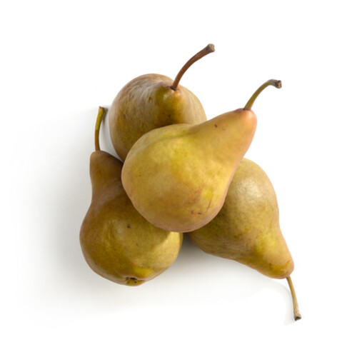 Bosc Pears 4 Count