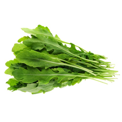 Slegers Organic Arugula 500 g