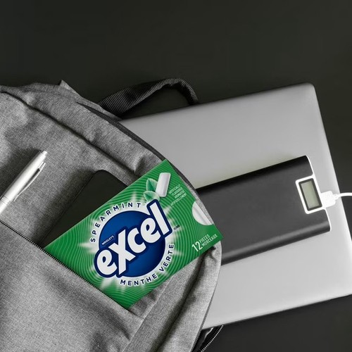 Excel Sugar Free Chewing Gum Spearmint Flavoured Pack of 12 Pieces 1 EA