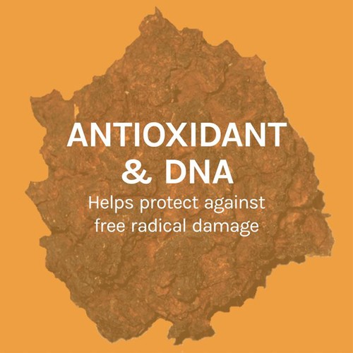 Host Defense Antioxidant & DNA Support Supplement 60 EA