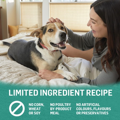 Beyond Ground Entre Wet Dog Food Alaskan Cod Salmon & Sweet Potato Recipe 368 g
