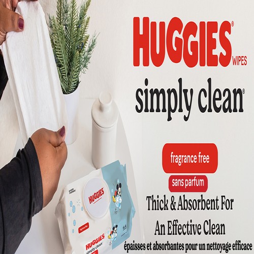 Huggies Simply Clean Baby Wipes Unscented Flip-Top Pack 704 Count