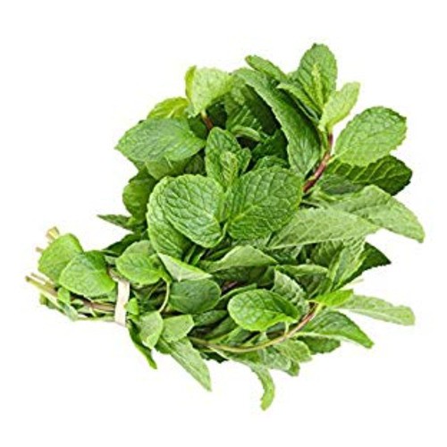 Organic Mint 28 g