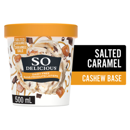 So Delicious Dairy Free Cashew-Based Frozen Dessert Salted Caramel Cluster