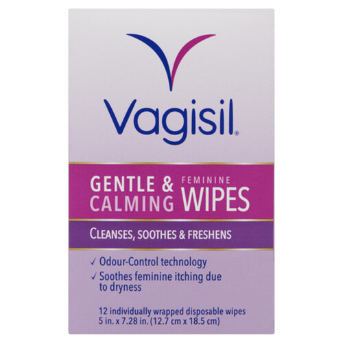 Vagisil Feminine Wipes 1 EA