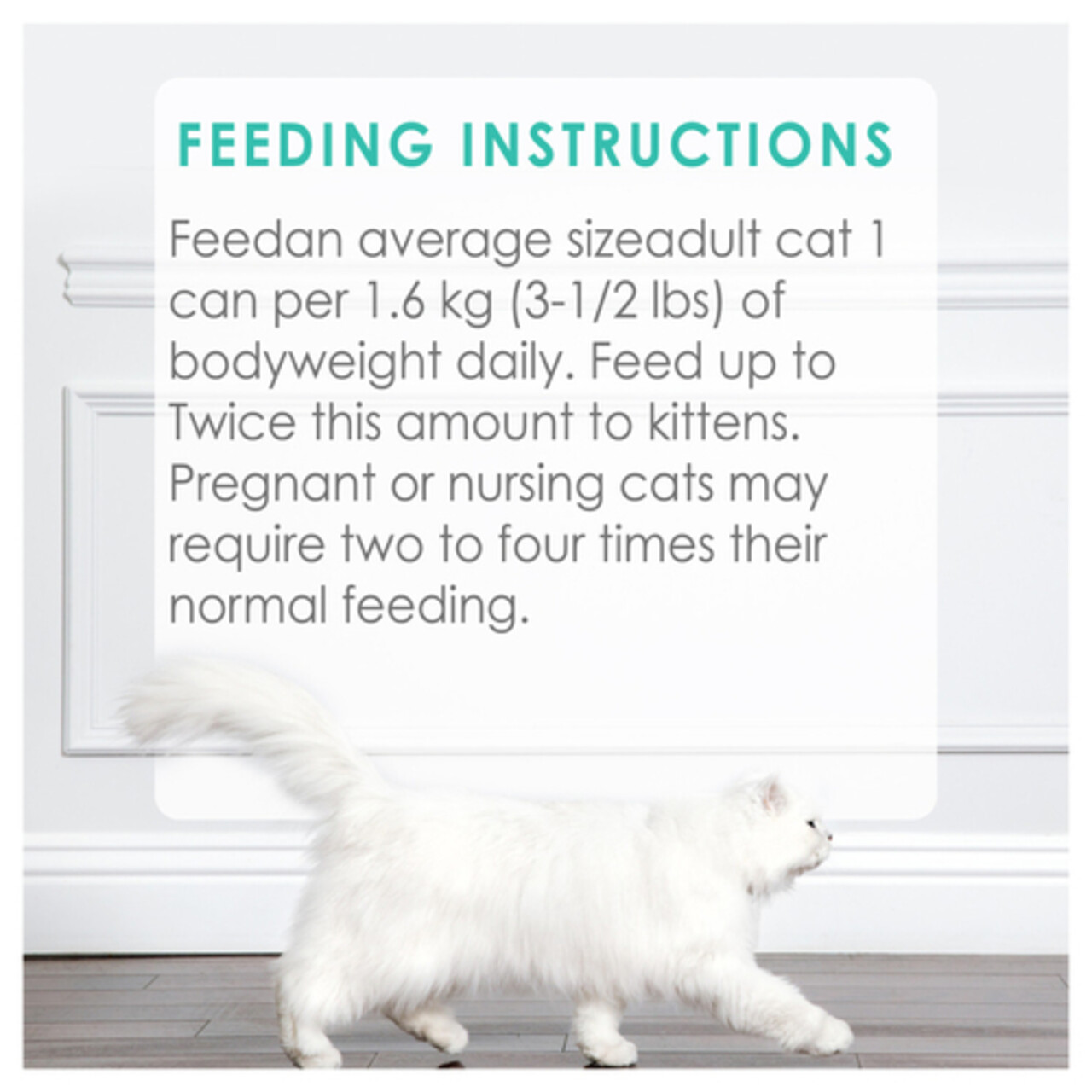 Fancy Feast Wet Cat Food Pate Ocean Whitefish & Tuna 85 g Voilà