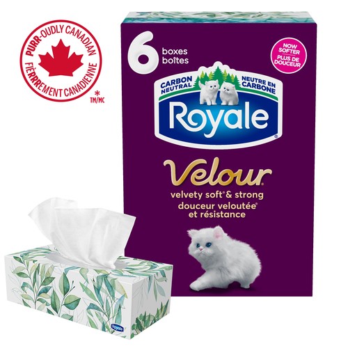 Royale Velour Facial Tissue 3 Ply 6 Boxes x 72 Sheets