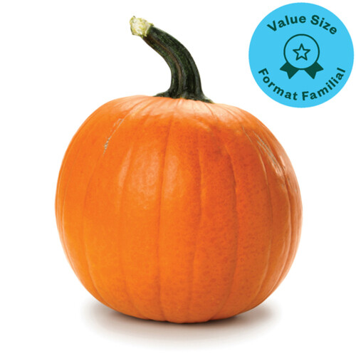 Jumbo Pumpkin 1 Count