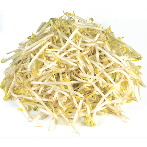 Bean Sprouts 325 g