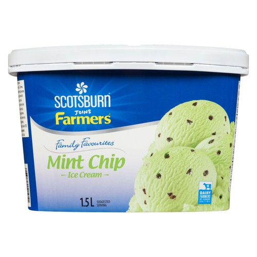 Family Favourites Ice Cream Mint Chip 1.5 L