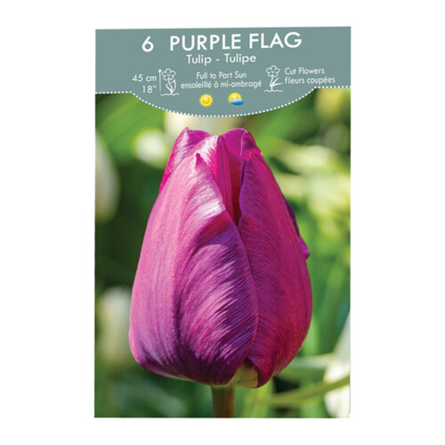 VPop Up Box Tulip Purple Flag 