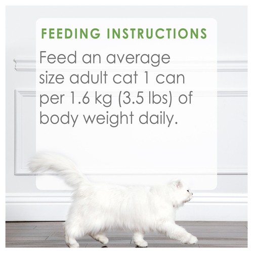 Purina Fancy Feast Wet Cat Food Medleys Shredded White Meat Chicken Fare 85 g