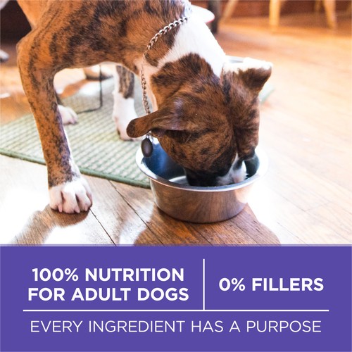 ONE Dry Dog Food SmartBlend Healthy Aging 7+ Formula Chicken 6 kg