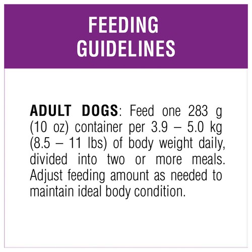 Beneful Prepared Meals Wet Dog Food Simmered Beef 283 g