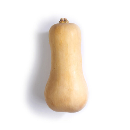 Butternut Squash 1 EA