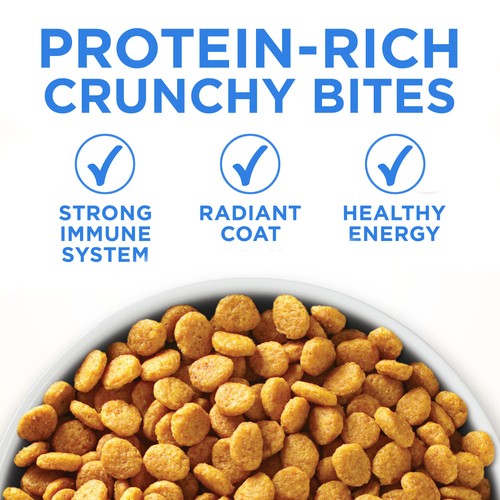 Purina ONE +Plus Dry Cat Food Urinary Tract Formula Chicken 1.8 kg