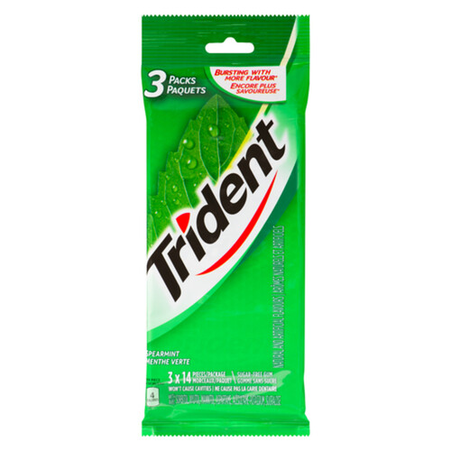 Trident Chewing Gum Spearmint  3 EA