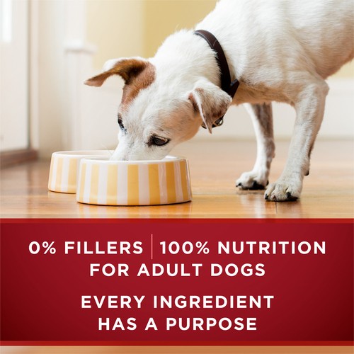 Purina ONE Wet Dog Food Smart Blend True Instinct Beef & Bison 368 g