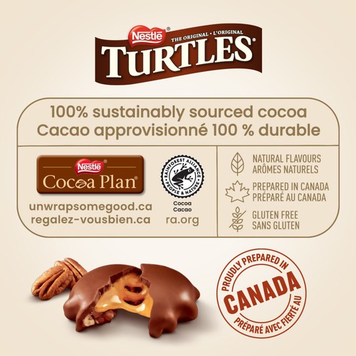 Turtles Chocolate Bar Original 33 g