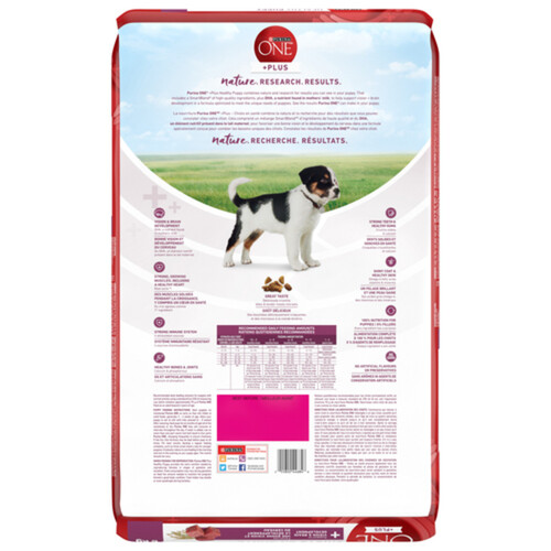 Purina ONE Dry Puppy Food +Plus Healthy Puppy Formula Lamb 6 kg