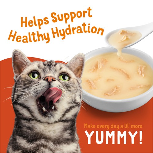 Friskies Lil' Soups Wet Cat Food Greatest Hits Variety Pack 18 x 34 g