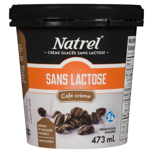 Natrel Lactose Free Ice Cream Creamy Coffee 473 mL