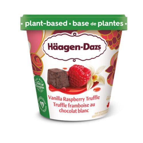 Haagen Dazs Plant Based Ice Cream Vanilla Raspberry Truffle 400 ml