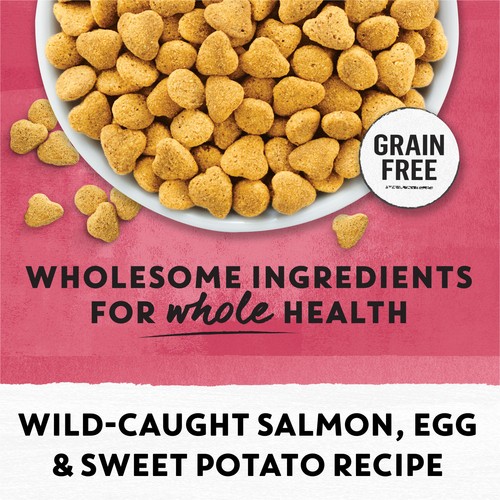 Beyond Grain Free Dry Cat Food Indoor Cat Wild-Caught Salmon & Egg 1.36 kg