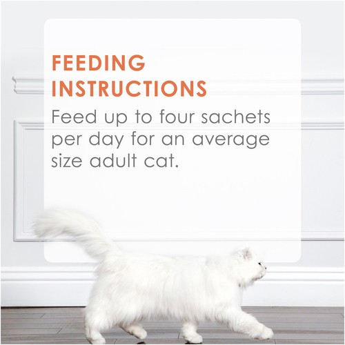 Fancy Feast Savoury Pure Naturals Cat Treats with Natural Salmon & Tuna 4 x 10 g
