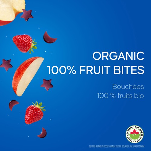 Sunrype Funbites Organic Fruit Bites Apple Strawberry 6 x 18 g