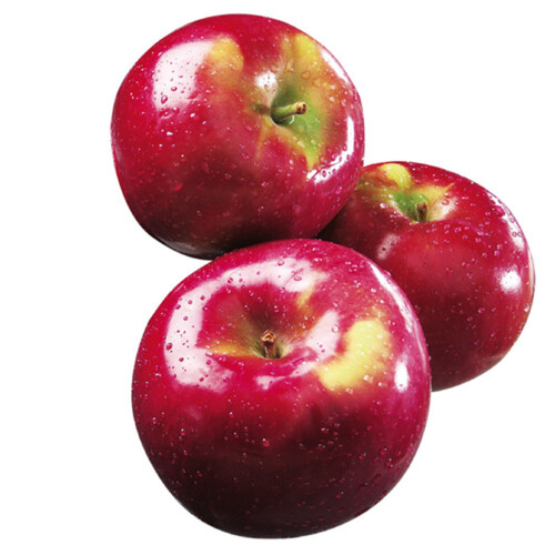 Organic McIntosh Quebec Apples 907 g