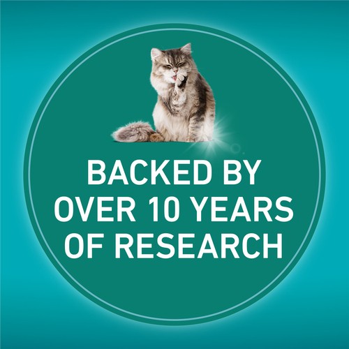 Purina ONE Dry Cat Food Allergen-Reducing Formula With Real Chicken 1.36 kg