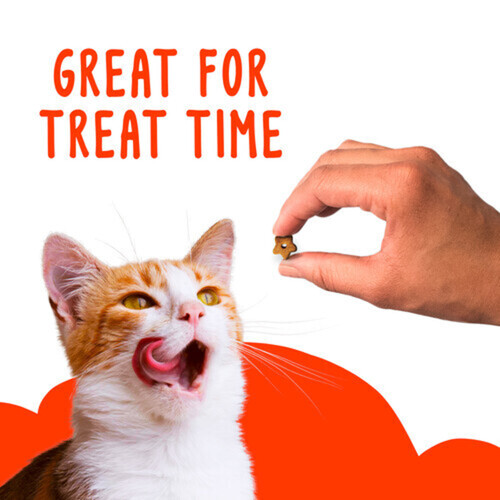 Friskies Cat Treats Party Mix Original Crunch 170 g