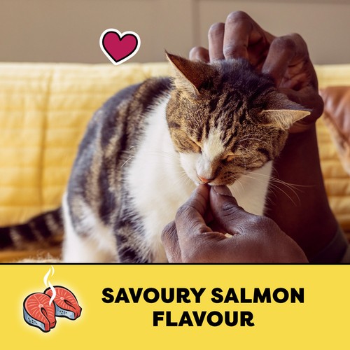 Temptations Adult Cat Treats Savoury Salmon Flavour 180 g