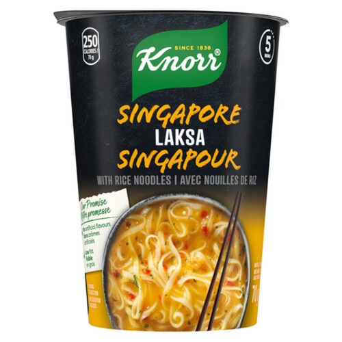 Knorr Rice Noodle Cup Singapore Laksa For A Light Soup Meal Ready In 5 Mins 70 g