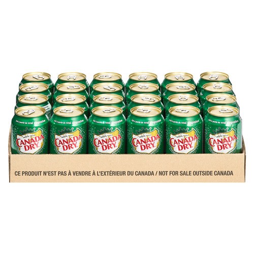 Canada Dry Ginger Ale Soft Drink 24 x 355 ml