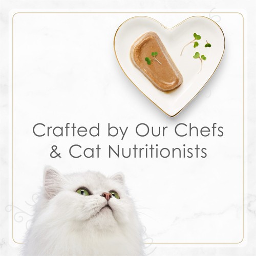 Fancy Feast Petites Wet Cat Food Tender Turkey Entrée Paté 79.4 g