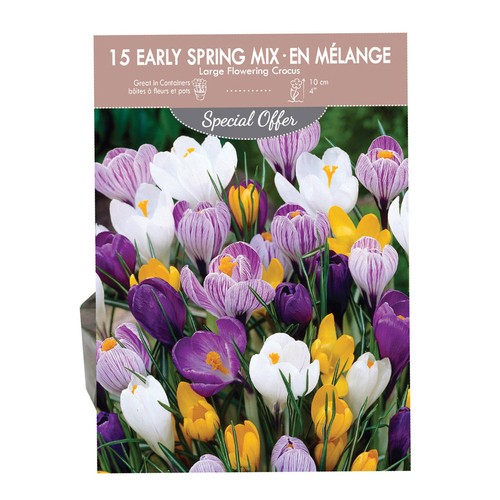Spring Mix Crocus Plant Volume Pack 