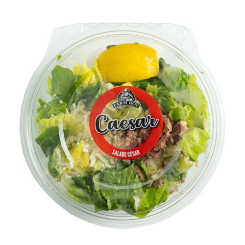 Farm Boy Salad Caesar 165 g