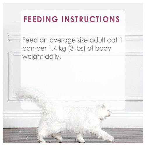 Fancy Feast Wet Cat Food Grilled Chicken Feast in Gravy 85 g